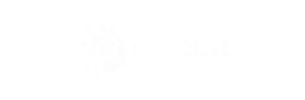 Logo Ma Veille